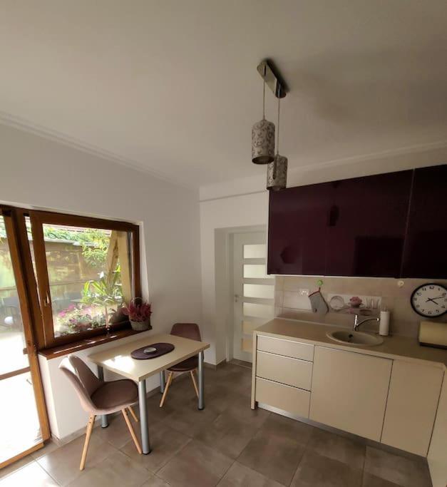 Апартаменты Apartament Individual La Casa Parter Тимишоара Экстерьер фото